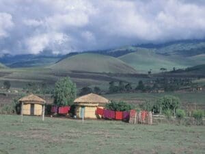 El campamento está situado en el Parque Nacional del Kilimanjaro.