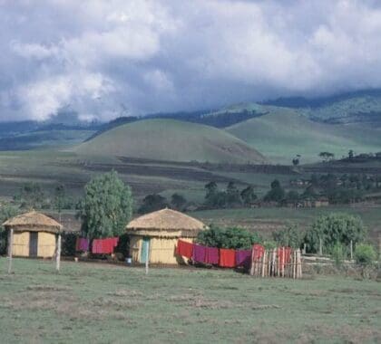 The camp is situated in the Kilimanjaro National Park.