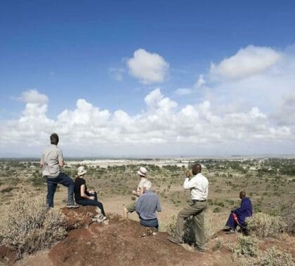 Enjoy the stunning view while going on a walking safari.