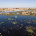Boat safaris.