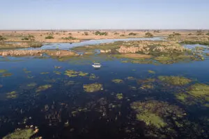 Boat safaris.