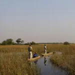 Mokoro safaris.