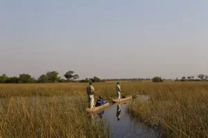 Mokoro safaris.