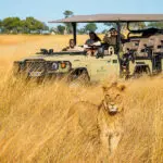 Game drives.