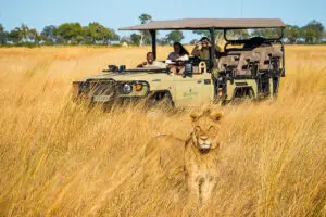 Game drives.