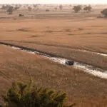 Endless plains in the reserve.