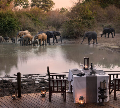 Dine by the waterhole and watch masses on wildlife roam freely.