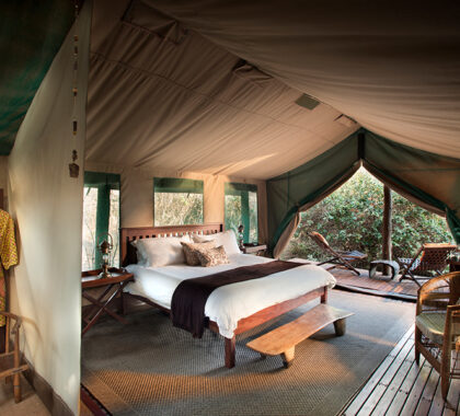 Your authentic safari tent.