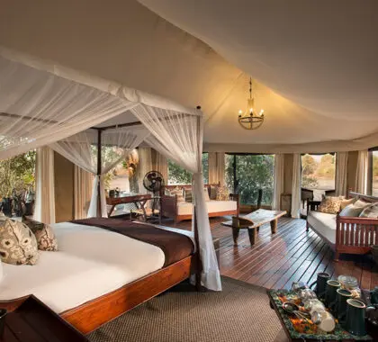 Luxurious and spacious tents.