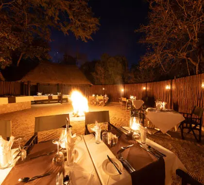 Enjoy a boma dinner outdoors around a roaring fire.