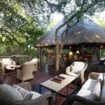 The viewing deck at Kapama Buffalo Camp.