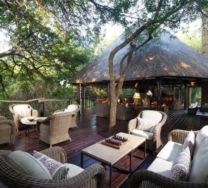 The viewing deck at Kapama Buffalo Camp. 