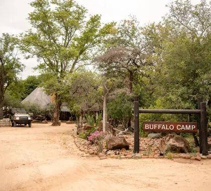 Il Kapama Buffalo Camp si trova ai margini del famoso Parco Nazionale Kruger in Sudafrica.