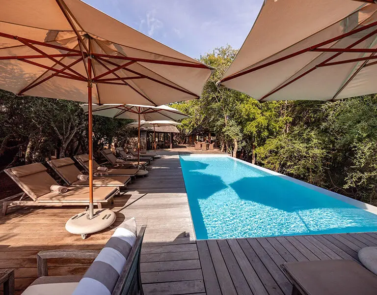  A área da piscina está protegida por uma folhagem exuberante e é completada com espreguiçadeiras.