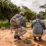 Embark on a bush walk in the reserve.