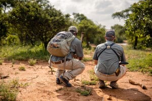 Embark on a bush walk in the reserve. 