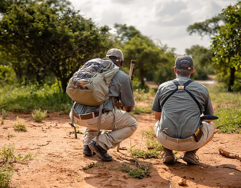 Embark on a bush walk in the reserve. 