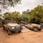 Daily game drives.