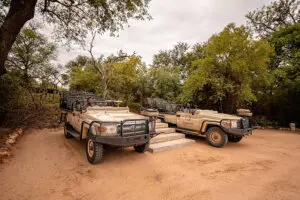 Daily game drives.