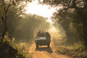 Game drives in a private reserve. 