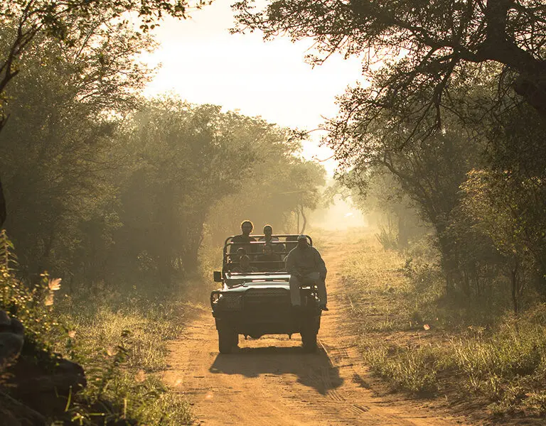 Game drives in a private reserve. 