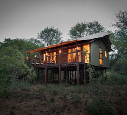 El Kapama Buffalo Camp está situado al borde del famoso Parque Nacional Kruger de Sudáfrica.