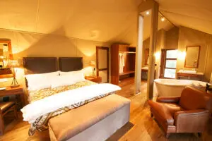Classic but chic safari tents.