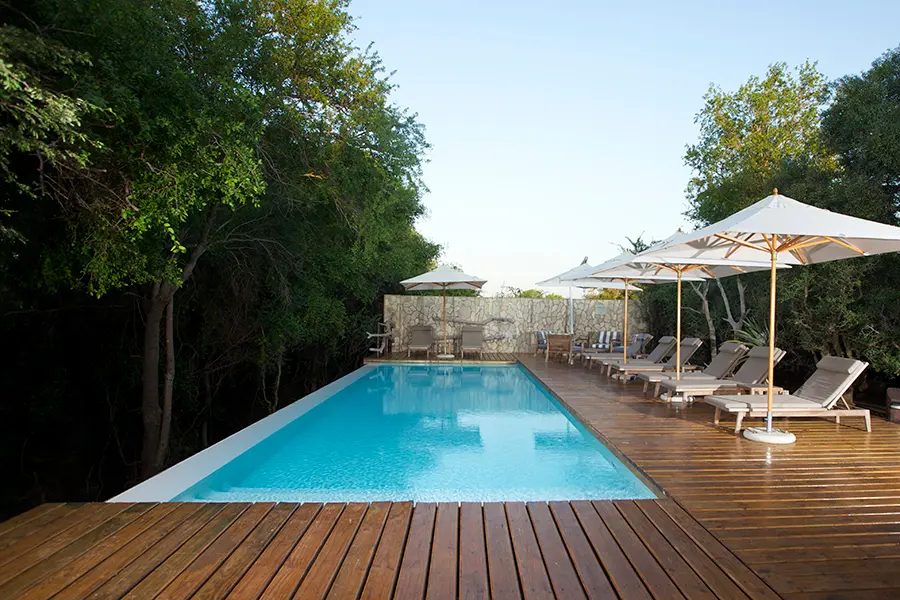 La zona de la piscina está protegida por un frondoso follaje y se completa con tumbonas.
