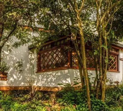 karen-blixen-coffee-garden-cottages-banner-option-3