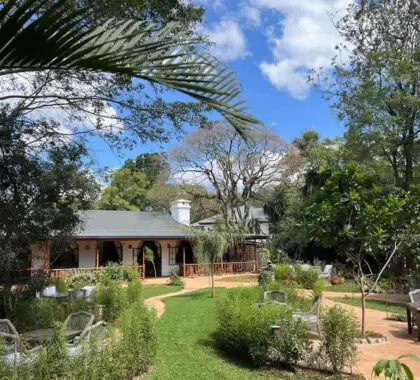 karen-blixen-coffee-garden-cottages-garden2