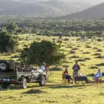 Una parada para comer en un safari.