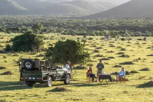 Una parada para comer en un safari. 