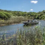 Safari boat trips, taking you deeper into the heart of the wilderness and are great for bird watching.