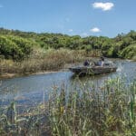 Excursiones de safari en barco, que le adentrarán en el corazón de la naturaleza salvaje. 