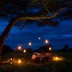  Dine under the stars.