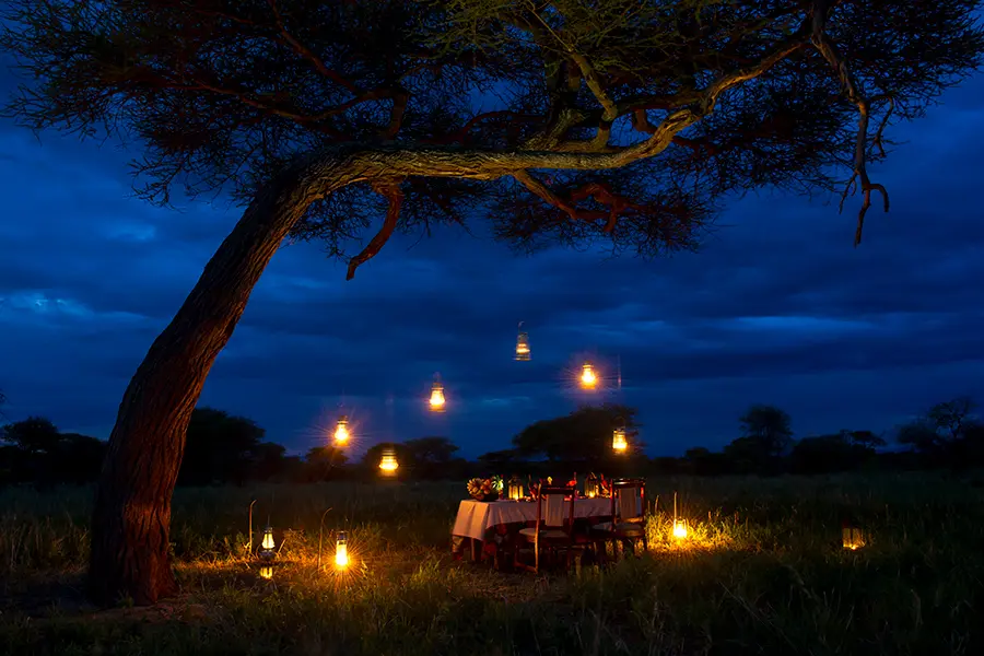  Dine under the stars.