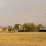 KasKaz Mara Camp invites you to experience Africa’s great Serengeti.