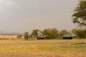 KasKaz Mara Camp invites you to experience Africa’s great Serengeti.