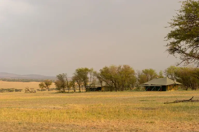 KasKaz Mara Camp le invita a experimentar el gran Serengeti africano.