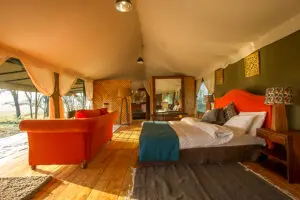 Spacious canvas suites.