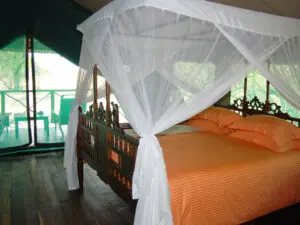 Draped mosquito nets ensure a good night's sleep at Katuma Bush Lodge.
