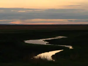 The Katuma River is a dry-season lifeline for Katavi's animals - expect superb game viewing!