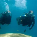 El lodge está certificado por PADI y cuenta con dos instructores de buceo cualificados.