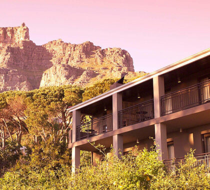 Kensington Place is situated just below the slopes of Table Mountain, making it ideally located to explore the City of Cape Town.