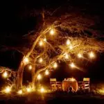 Bei Kerzenlicht und Sternenhimmel wird ein Safari-Abendessen im Freien sicher zu einem Höhepunkt Ihrer Kenia-Flitterwochen.