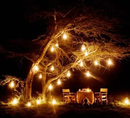 Lit up by candles & stars, an alfresco safari supper is sure to be a highlight of your Kenya honeymoon.