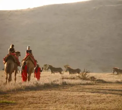 Private lodges in the Samburu region offer unique camel-back safaris along with game drives & walks.