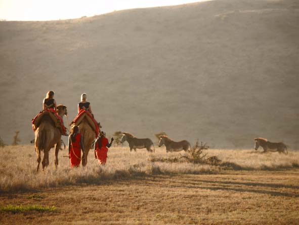 Private lodges in the Samburu region offer unique camel-back safaris along with game drives & walks.