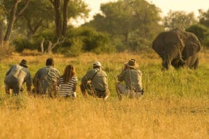 khwai-leadwood-safari-senderista