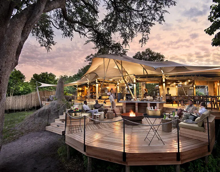 Khwai Leadwood in the Okavango Delta.